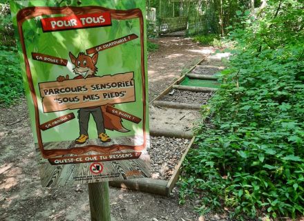 Espaces pédagogiques et sensoriels