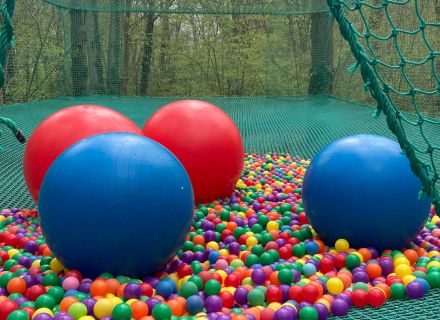 Foxi'Ball