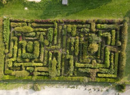 Labyrinthe Végetal