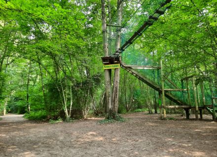 Parcours Canopée